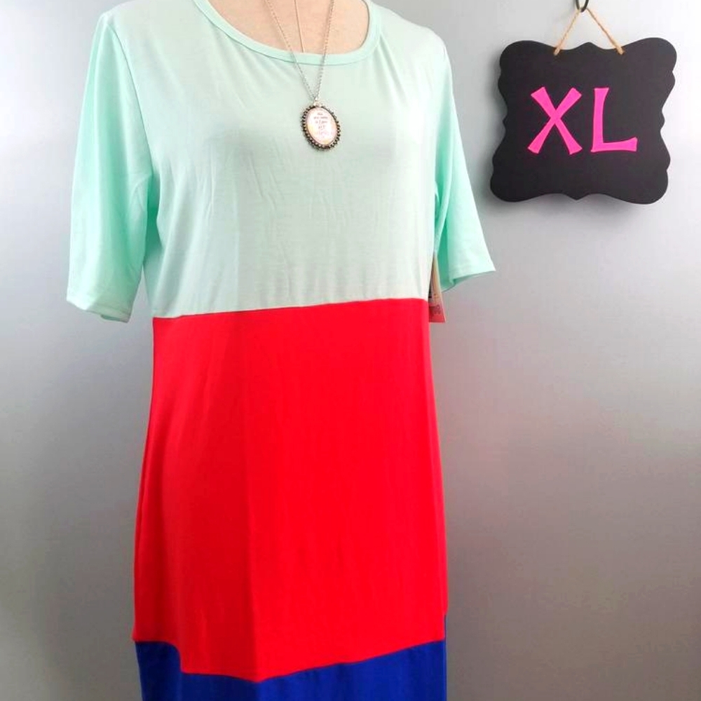 NWT LuLaRoe Julia Dress
